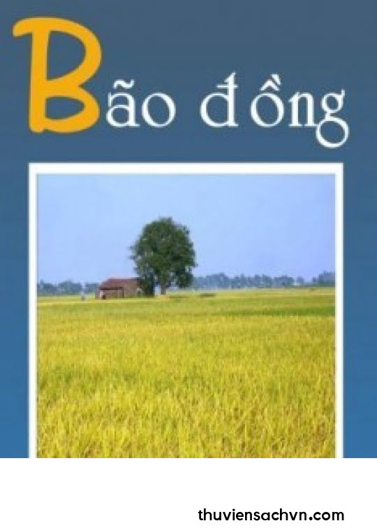 BÃO ĐỒNG