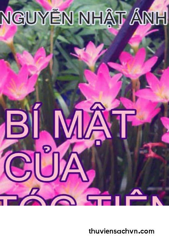 BÍ MẬT CỦA TÓC TIÊN