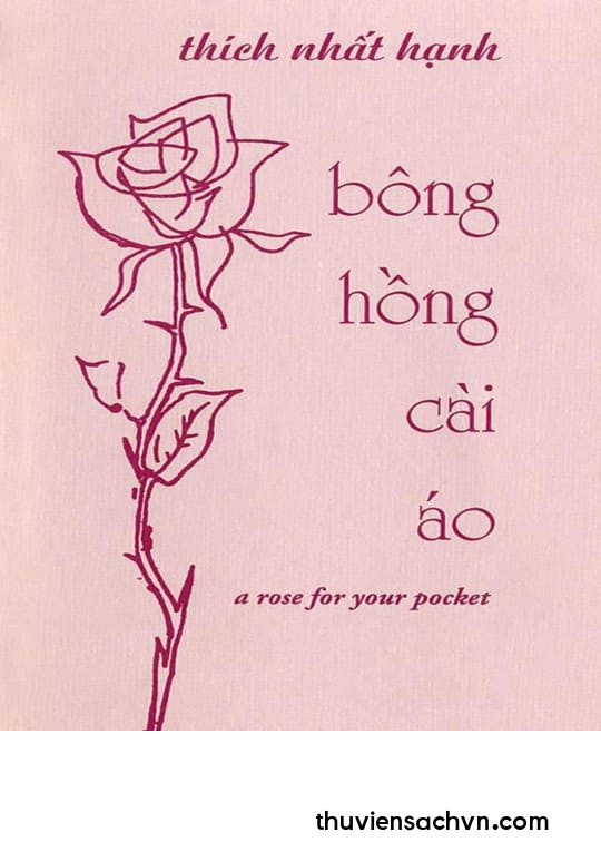 BÔNG HỒNG CÀI ÁO