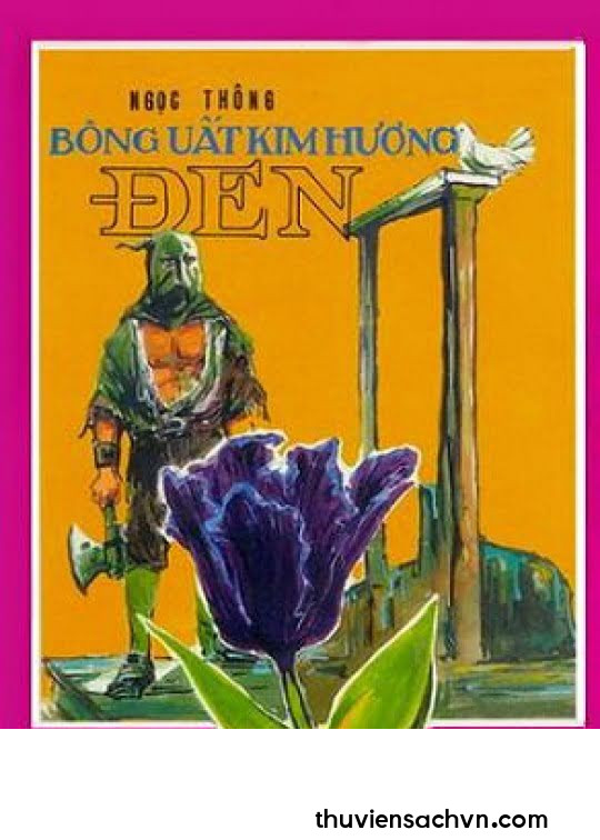 BÔNG UẤT KIM HƯƠNG ĐEN