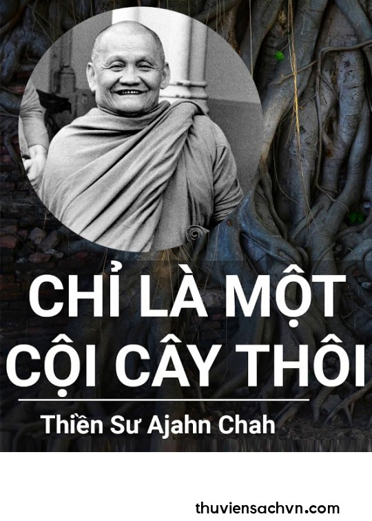 CHỈ LÀ MỘT CỘI CÂY