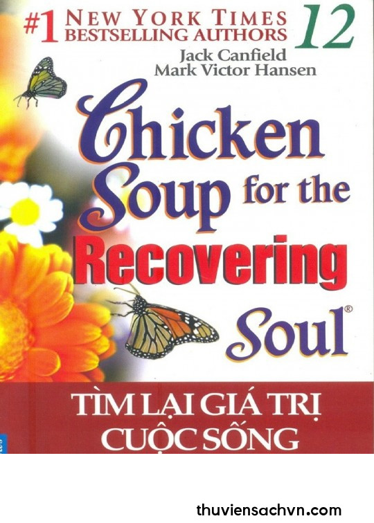 CHICKEN SOUP FOR THE SOUL - TẬP 12: TÌM LẠI GIÁ TRỊ CUỘC SỐNG