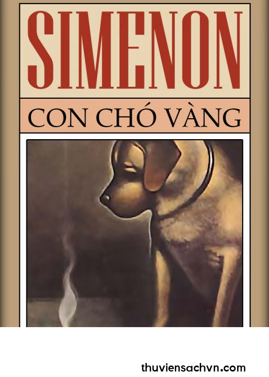 CON CHÓ VÀNG