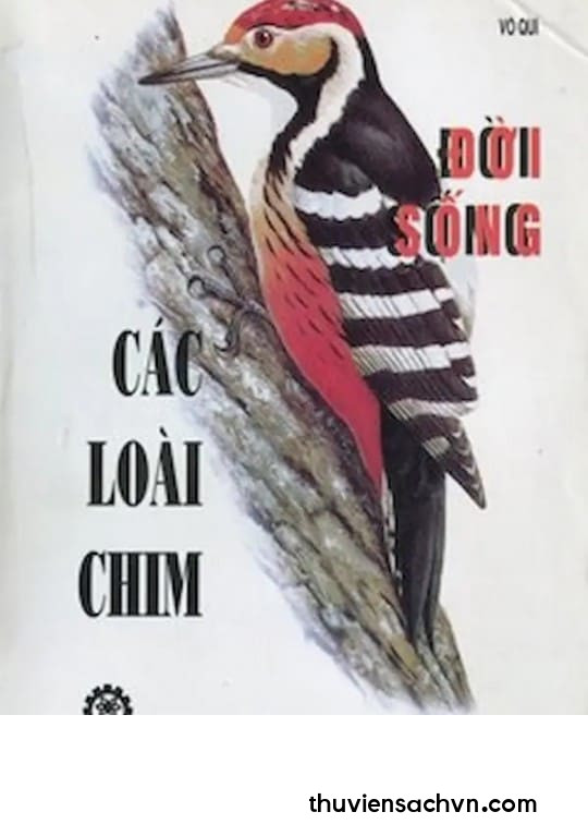 ĐỜI SỐNG CỦA CÁC LOÀI CHIM