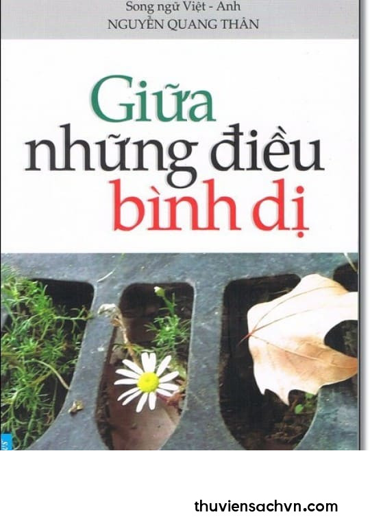 GIỮA NHỮNG ĐIỀU BÌNH DỊ