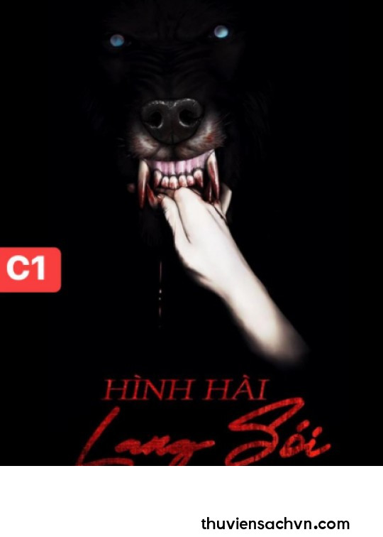 HÌNH HÀI LANG SÓI