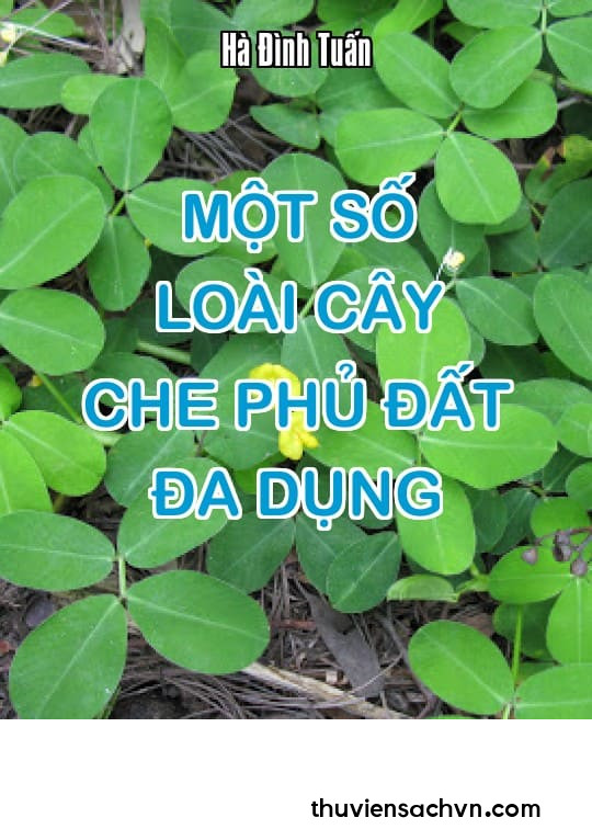 MỘT SỐ LOÀI CÂY CHE PHỦ ĐẤT ĐA DỤNG