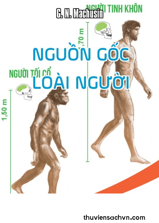 NGUỒN GỐC LOÀI NGƯỜI