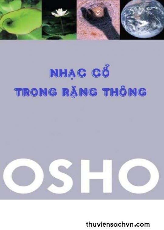 NHẠC CỔ TRONG RẶNG THÔNG